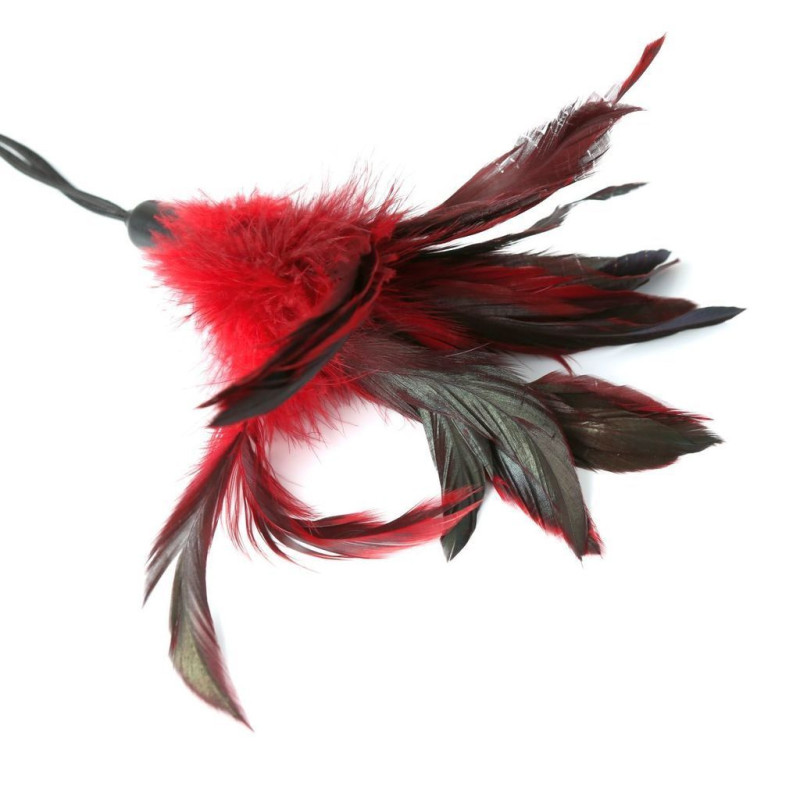 Лоскоталка Sportsheets - PLEASURE FEATHER RED на мотузяній петлі