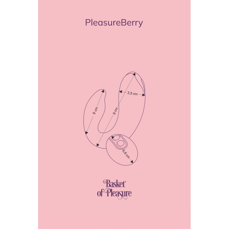 Вібратор для пар FairyGasm PleasureBerry blue, зарядний кейс, пульт ДУ
