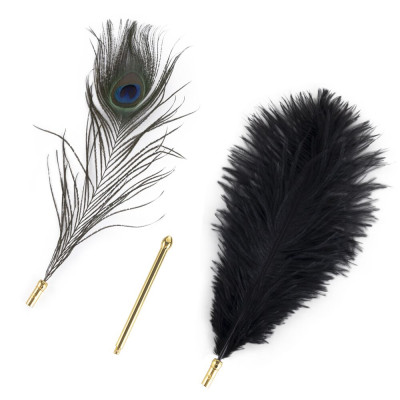 Лоскіт LOCKINK SEVANDA Natural Peacock Flirting Feather Tickler, перо павича