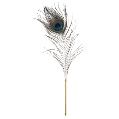 Лоскіт LOCKINK SEVANDA Natural Peacock Flirting Feather Tickler, перо павича