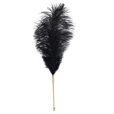Лоскіт LOCKINK SEVANDA Natural Peacock Flirting Feather Tickler, перо павича